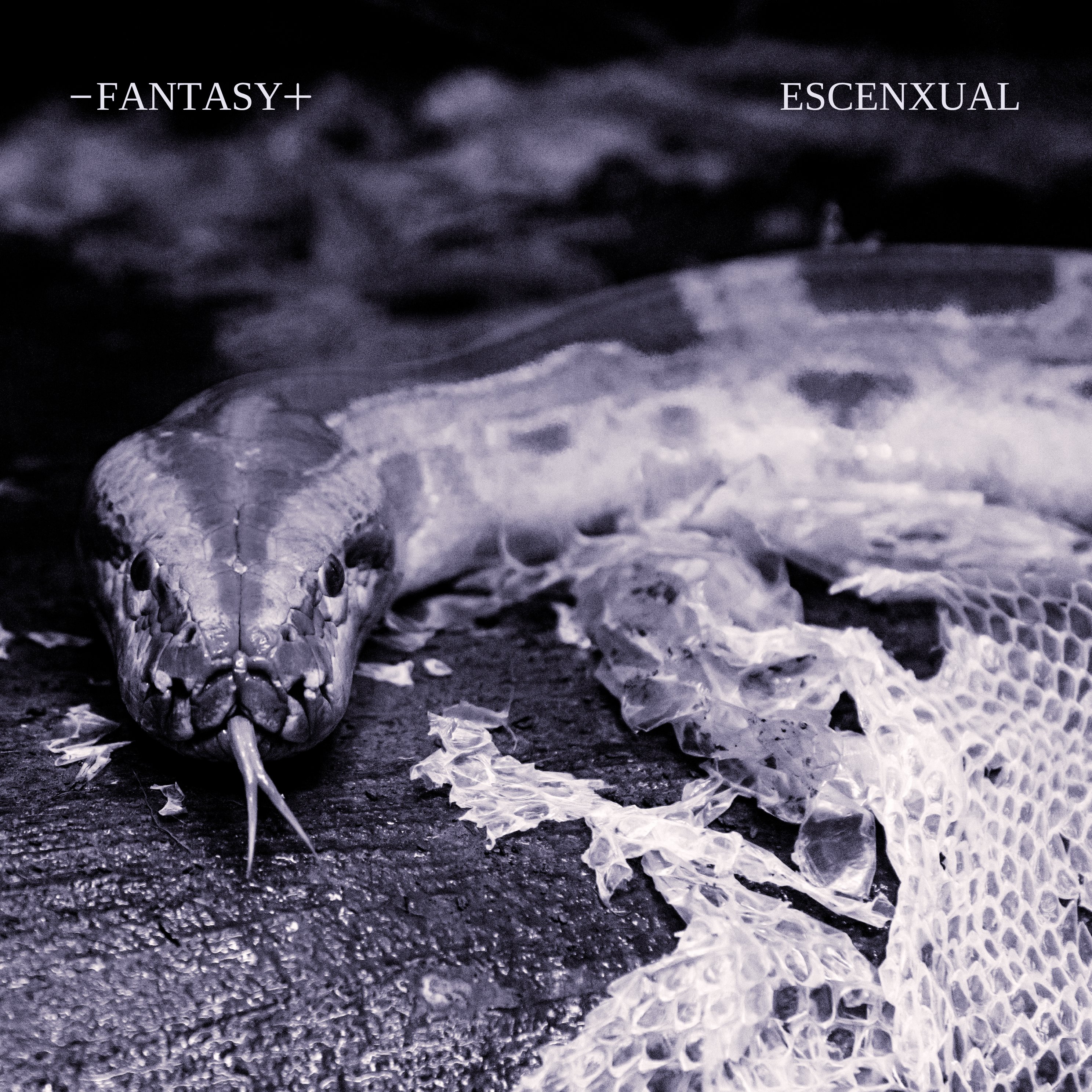 Fantasy